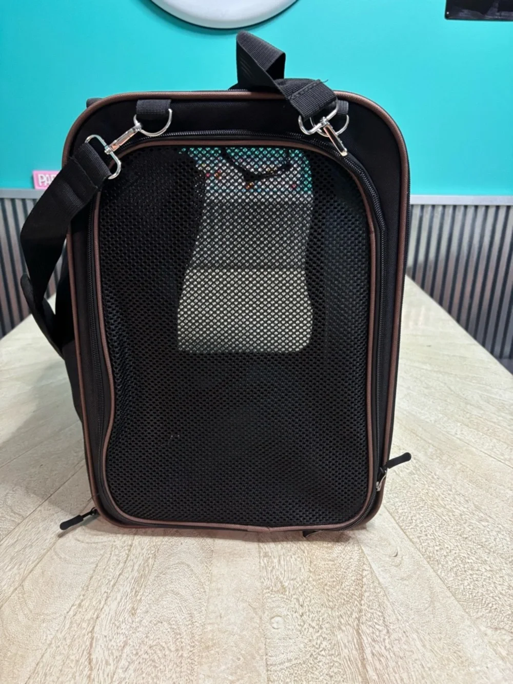 Extra Large Cat Carrier with Built-in Litter Box for Car Travel & Road Trips